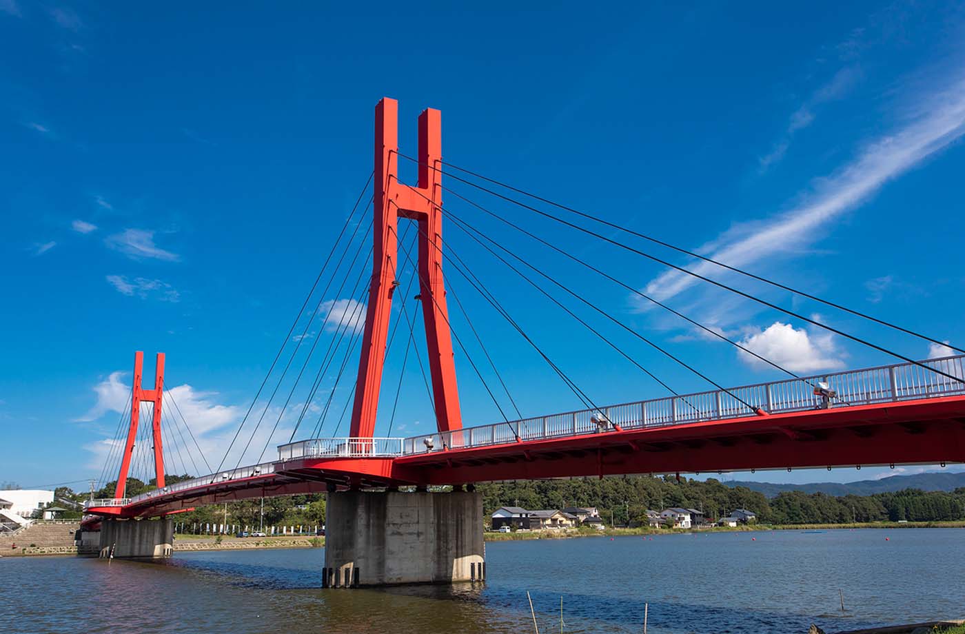 アイリスブリッジ