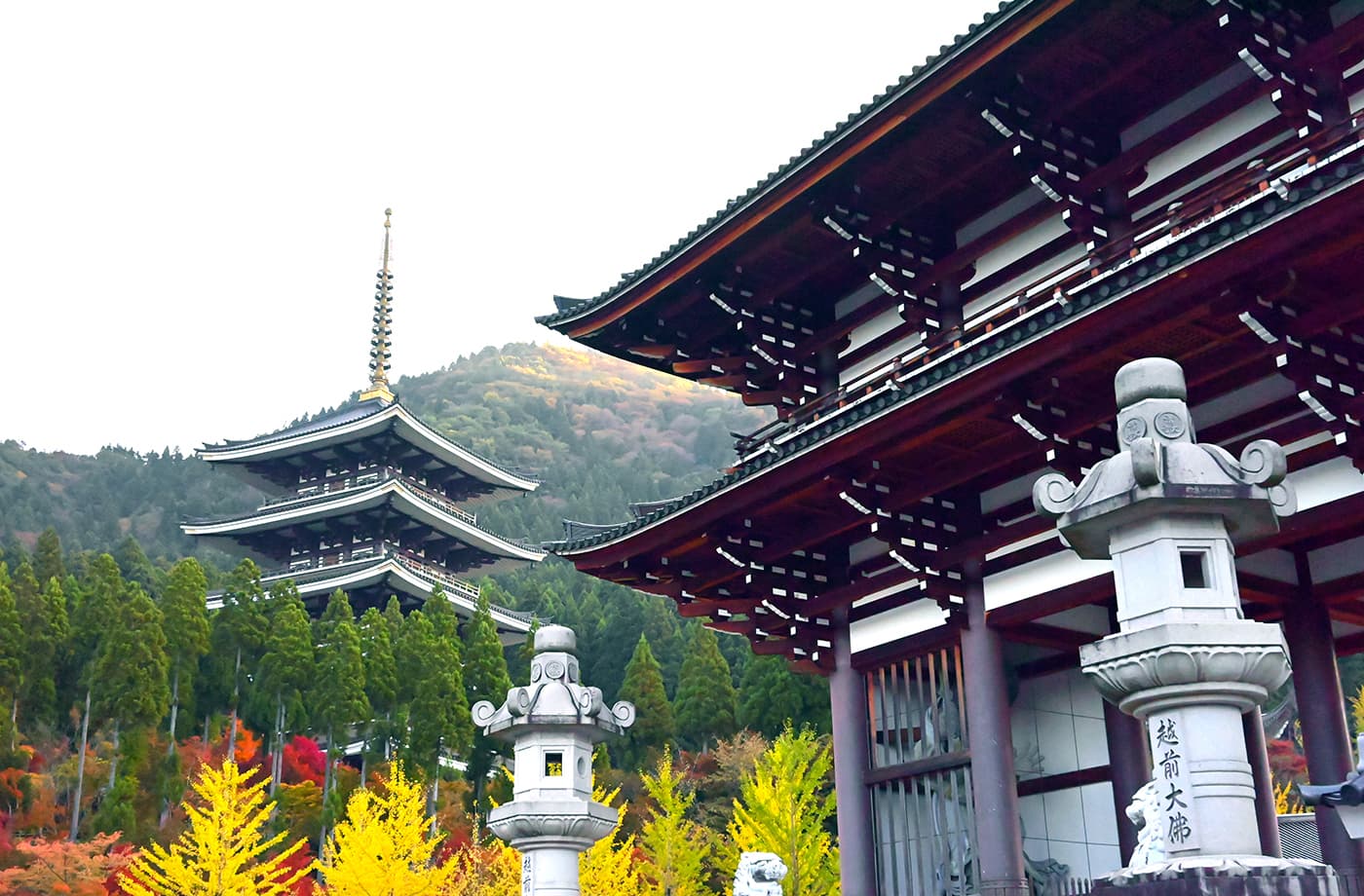 大師山清大寺 越前大仏