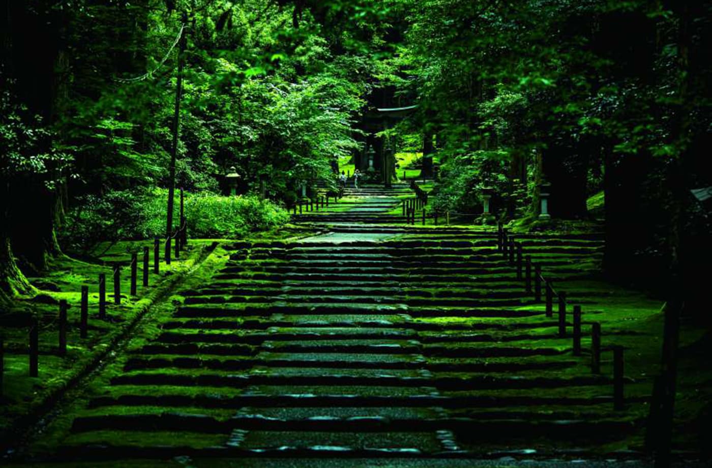 平泉寺白山神社