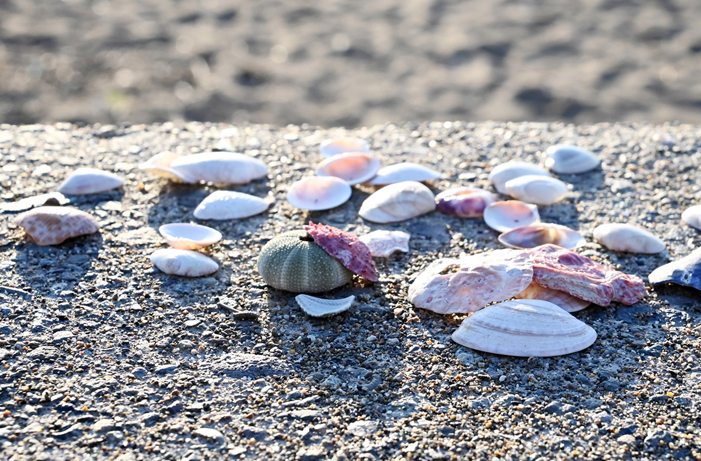 三国サンセットビーチ