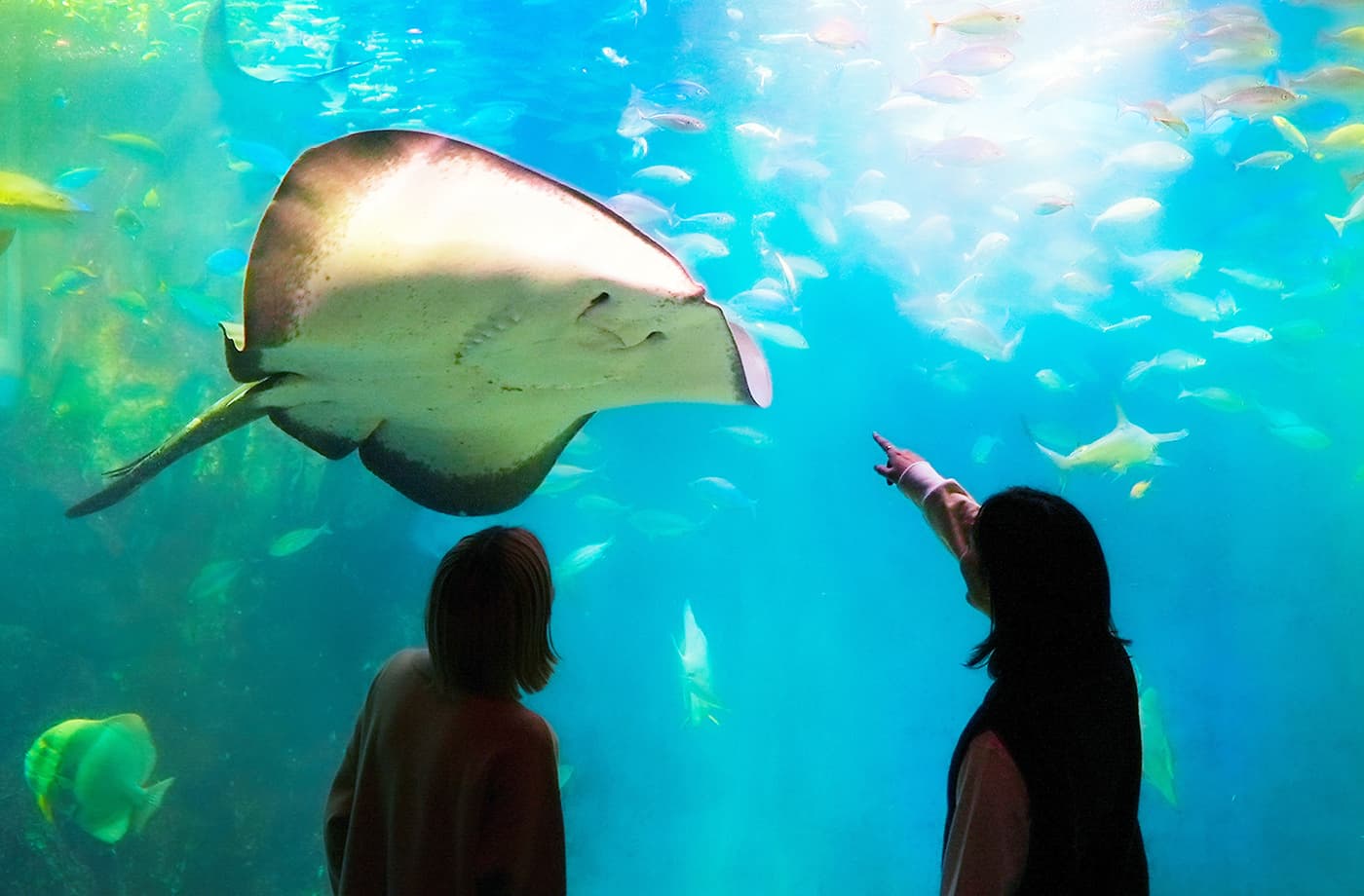 越前松島水族館