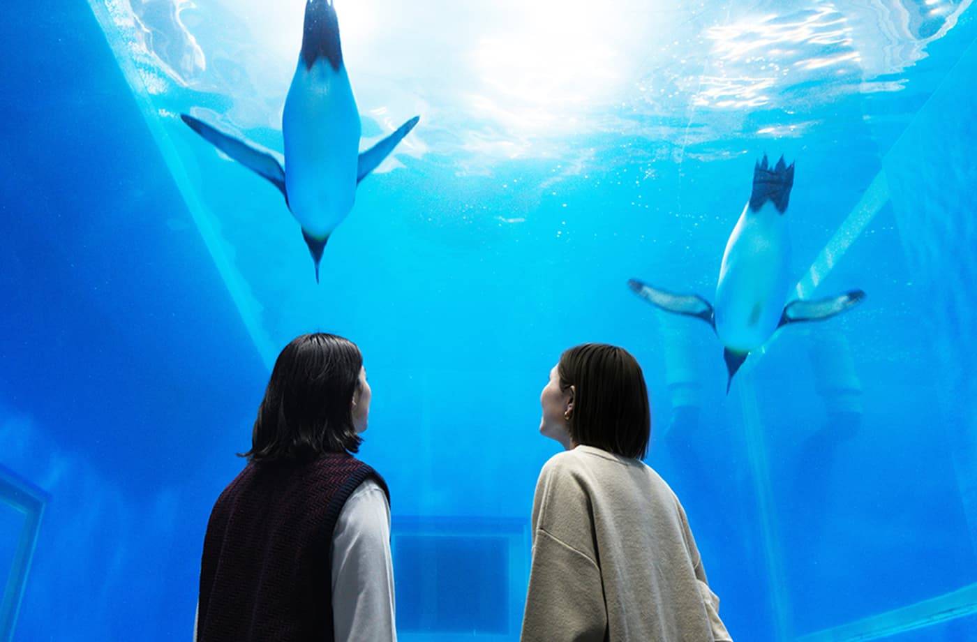 越前松島水族館