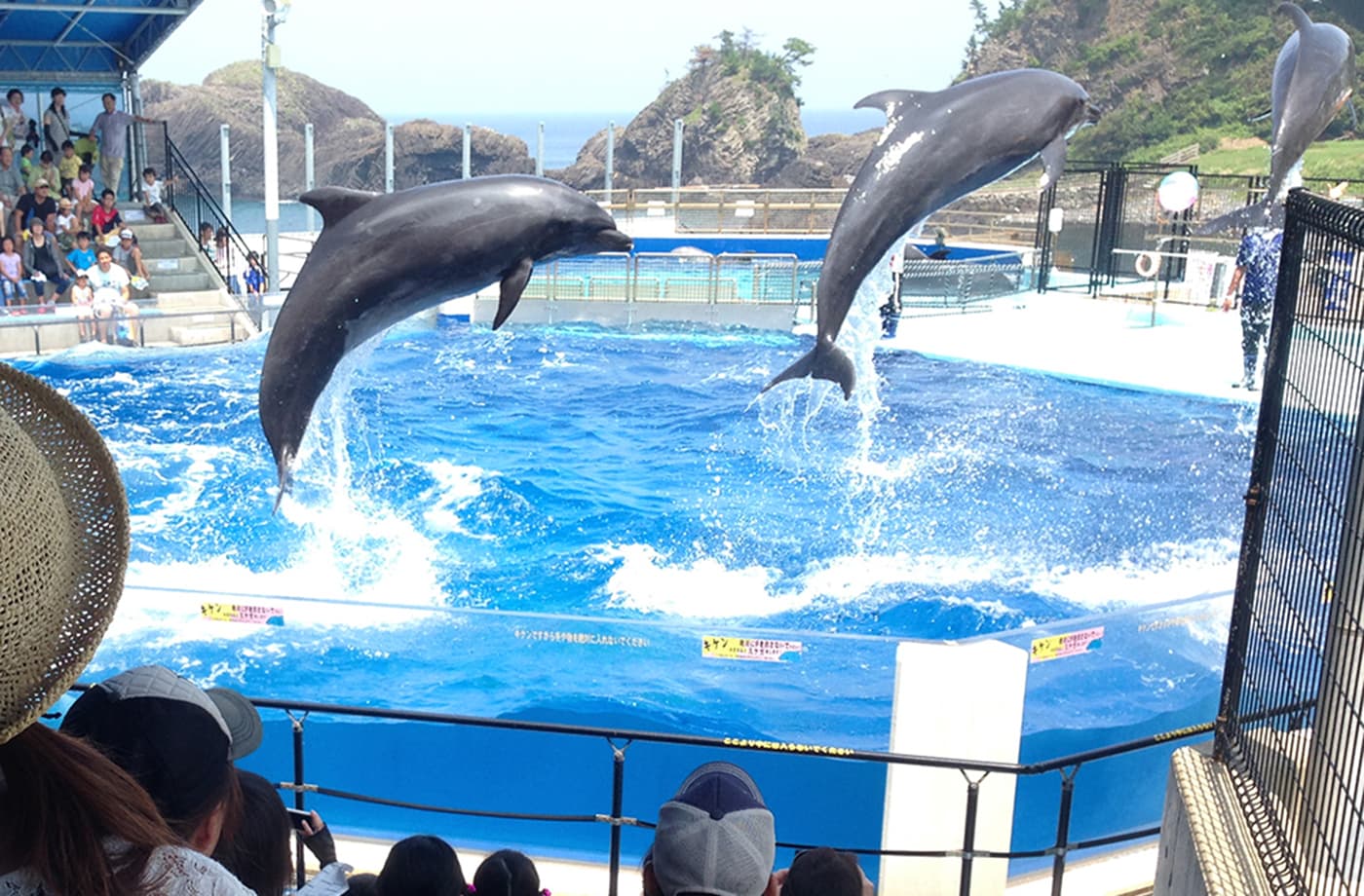 越前松島水族館