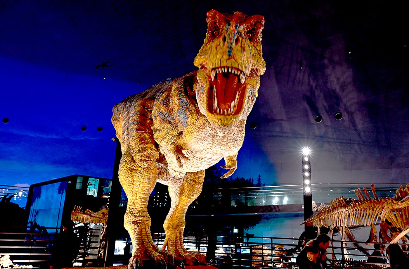 福井県立恐竜博物館