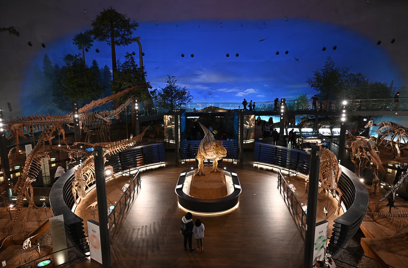 福井県立恐竜博物館