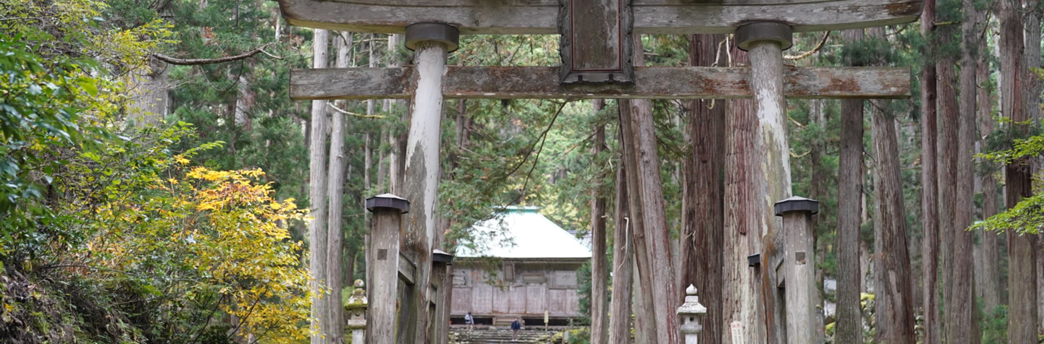 自旅のプロがご案内♪1泊2日最新女子旅コース〜越前エリア編〜