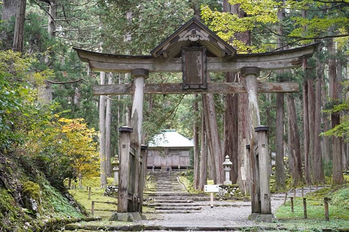 旅のプロがご案内♪1泊2日最新女子旅コース〜越前エリア編〜