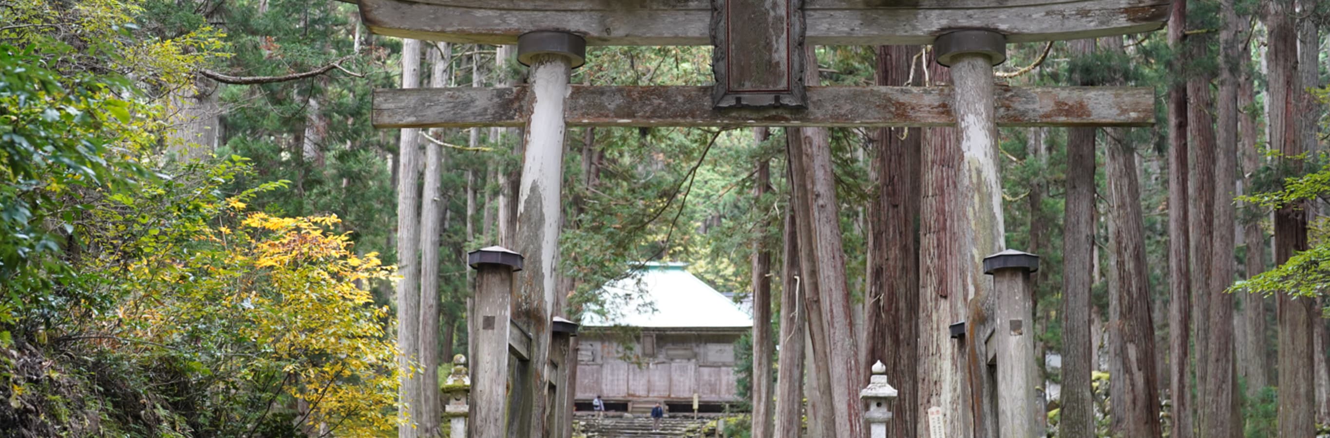 旅のプロがご案内♪1泊2日最新女子旅コース　越前エリア編