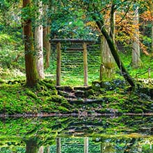 平泉寺白山神社