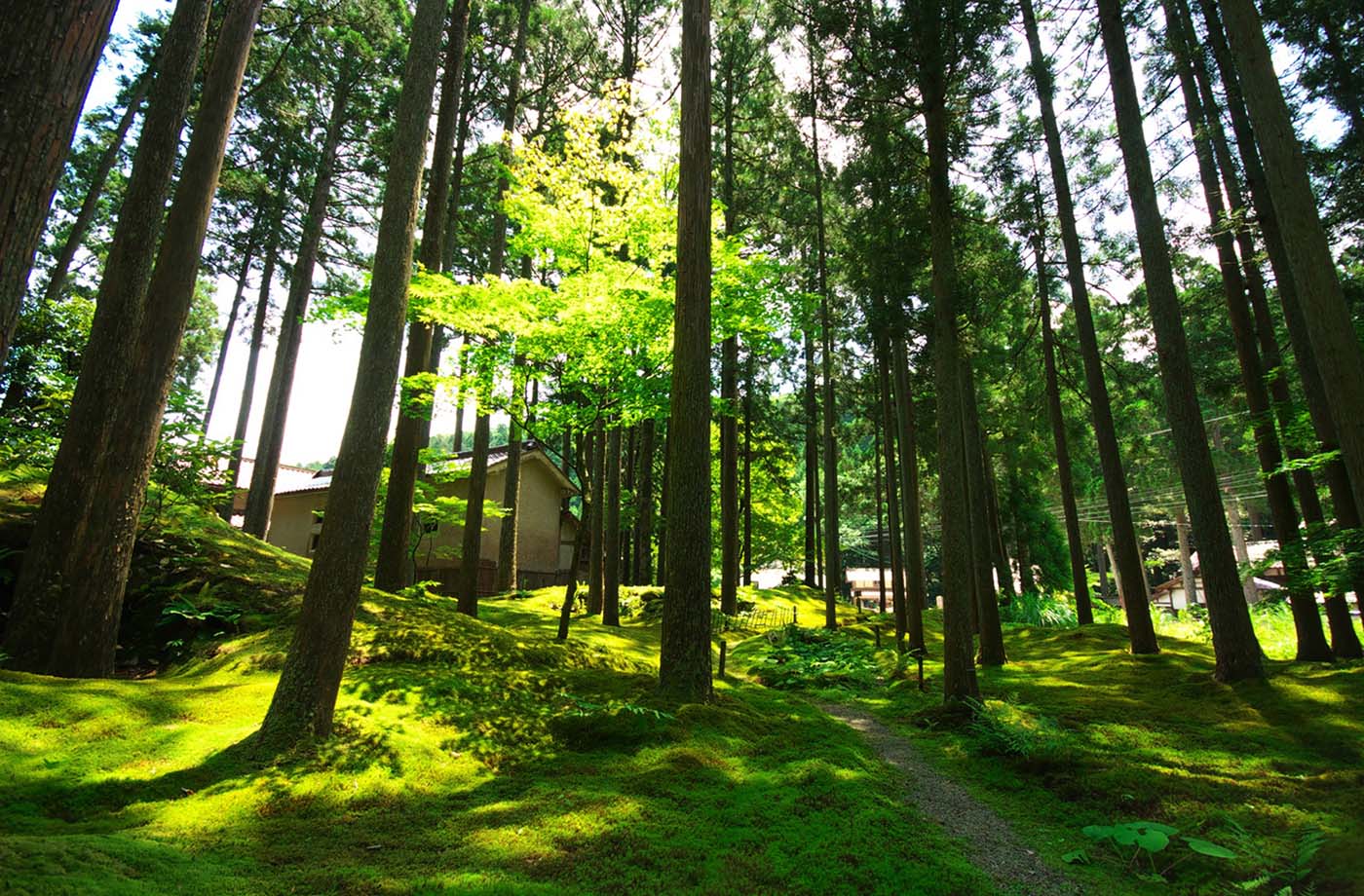 叡智の杜 苔の里