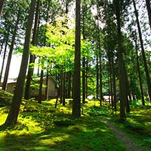 叡智の杜 苔の里