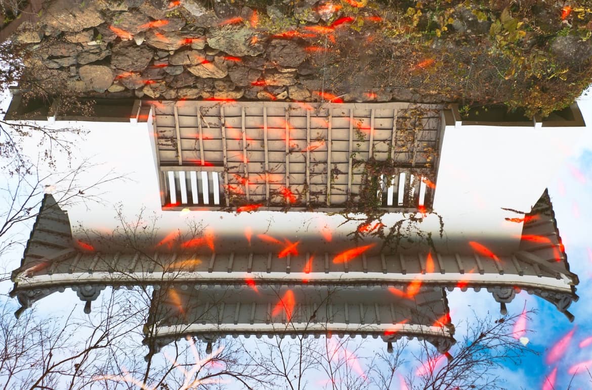 大天守の裏側にある「お福池」